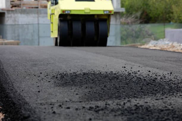 Best Residential Paver Driveway  in Oak Hill, FL